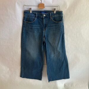 Womens Apt 9 Wide Leg Crop High Rise Blue Jeans Frayed Hem Denim Size 10